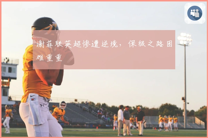 谢菲联英超惨遭逆境，保级之路困难重重